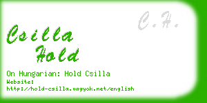 csilla hold business card